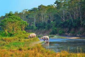 Chitwan Tour Package